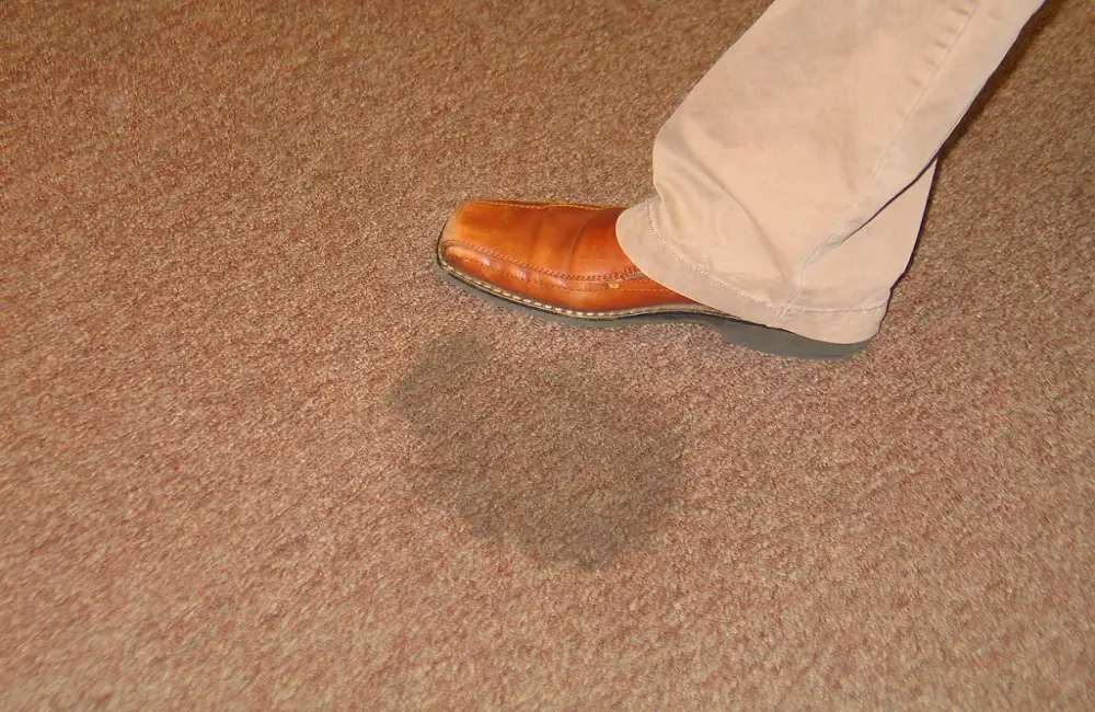 How To Remove Stains From Carpet