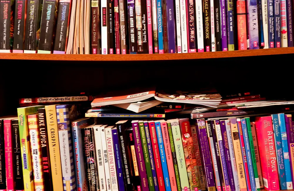 10 Ways to Organize Your Books